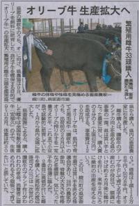 オリーブ牛の生産拡大へ／繁殖用雌牛購入・県農協 | 香川のニュース | 四国新聞社